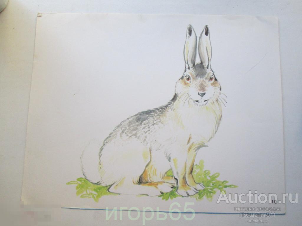 Наглядное пособие Учебное пособие Заяц Лопата  Двусторонний