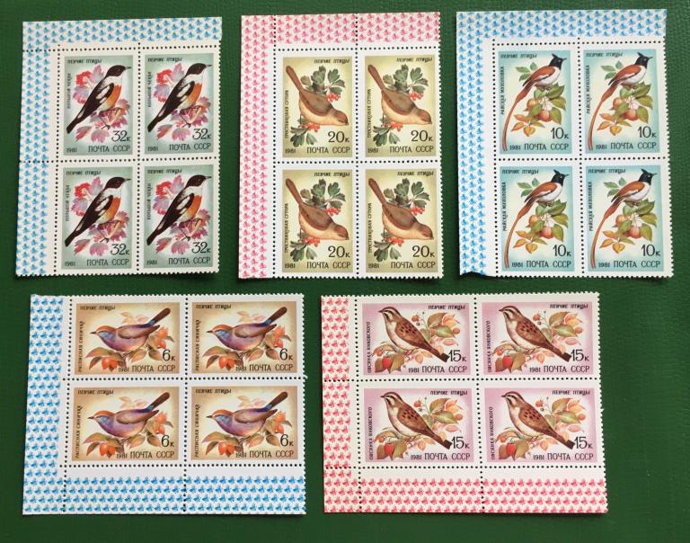 Марки 5 шт (в квартблоках).  Певчие птицы. СССР 1981 г.