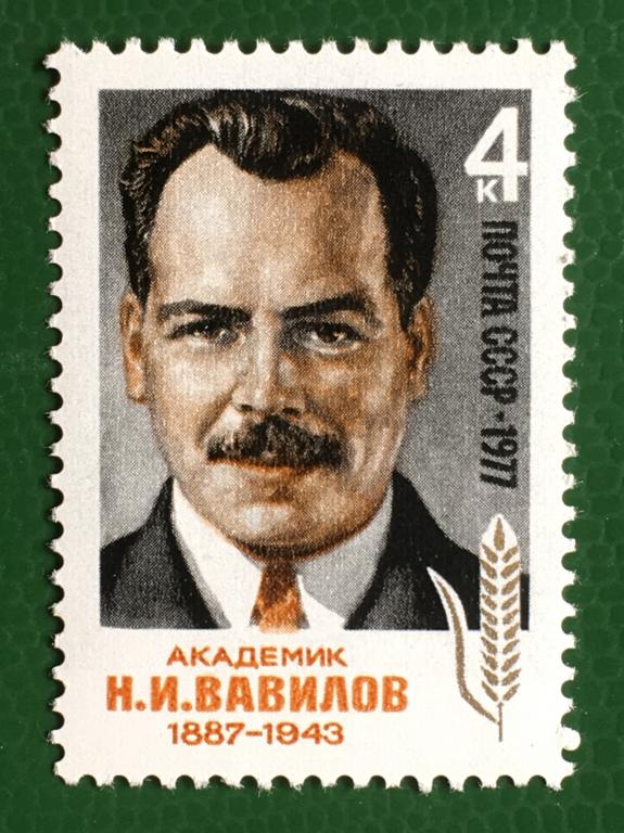 Марка. 90-летие со дня рождения академика Н.И.Вавилова. СССР 1977 г.