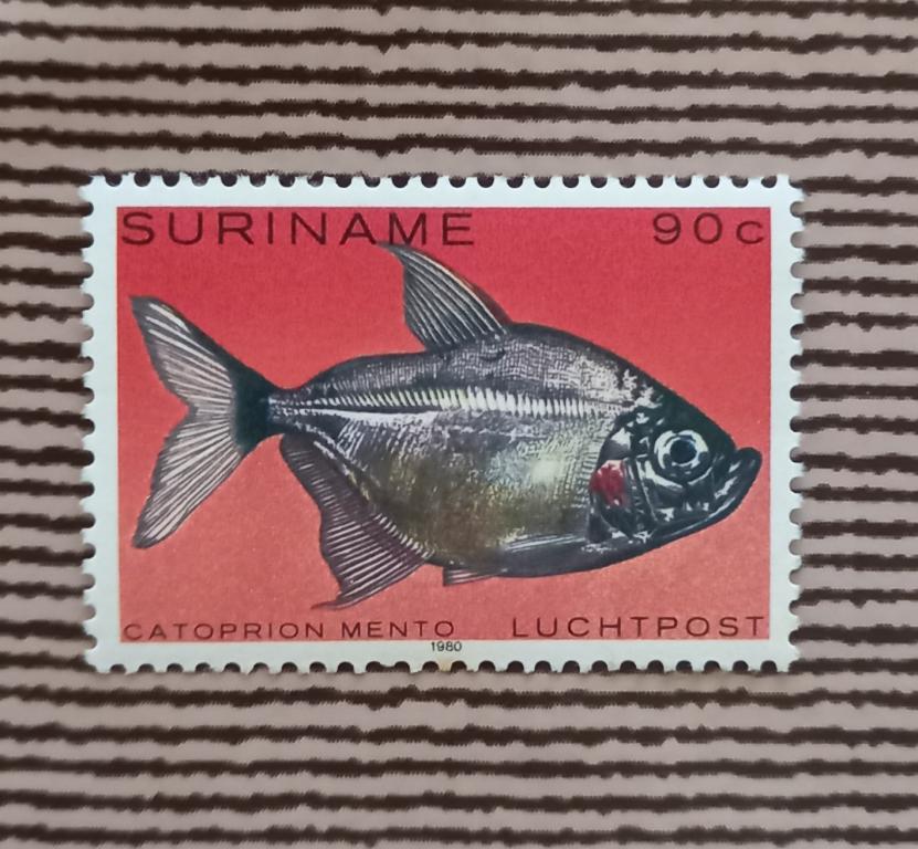 Суринам 1980 год Фауна Рыбы Катоприон менто MNH
