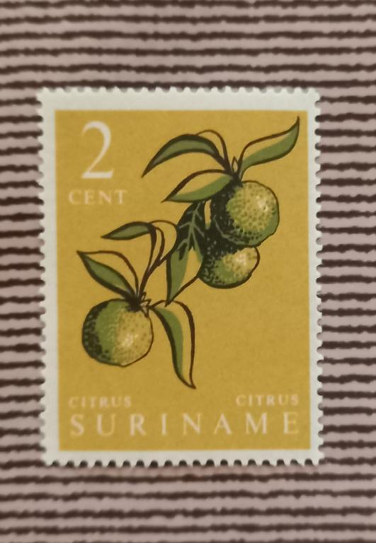 Суринам 1961 год  Флора Цитрусовые MNH