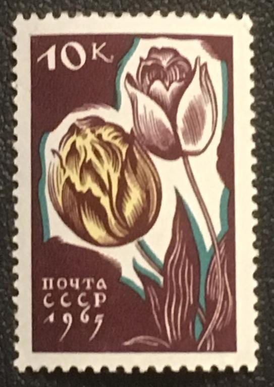 Марка Тюльпаны. СССР 1965 г.
