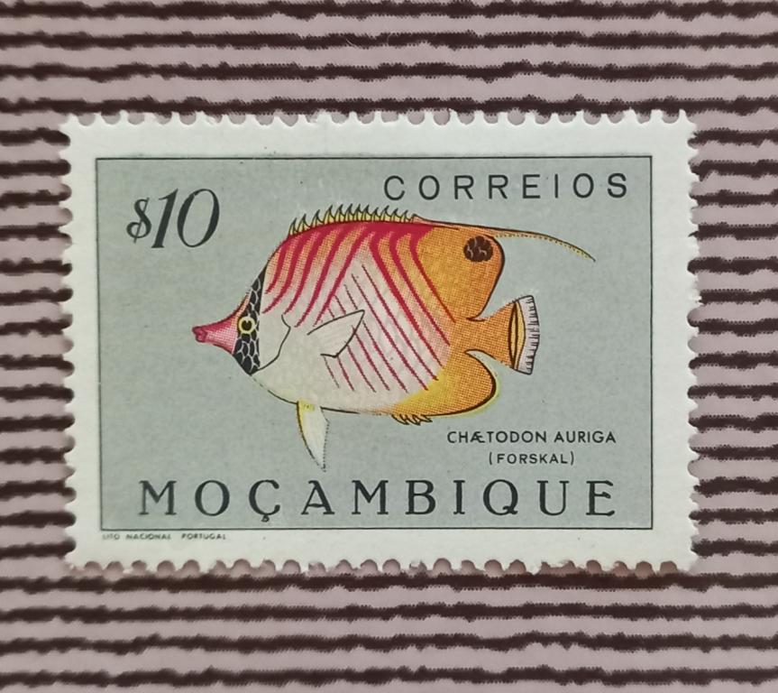 Мозамбик 1953 год Фауна Рыбы Рыба-бабочка с нитчатыми плавниками MNH