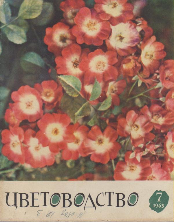Журнал "Цветоводство" № 7 Москва 1963 Мягкая обл. 36 с. С цв илл