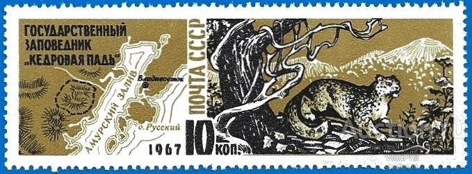 1967 СССР 3544 (Z 3452) Заповедник «Кедровая падь»** MNHOG (ЧБН)