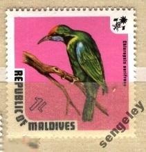 Мальдивы 1973 Mi#  463 Фауна. Чистая