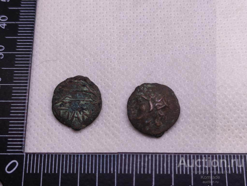 Античная монета Антика Пантикапей Фанагория