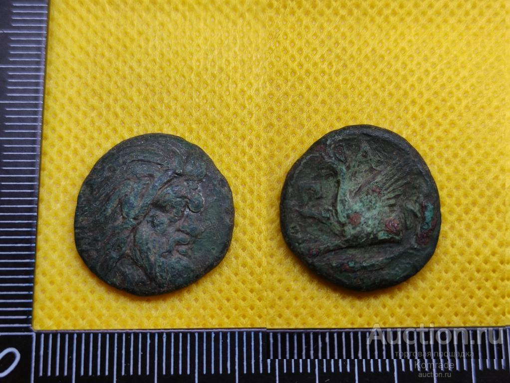 Античная монета Антика Пантикапей Фанагория