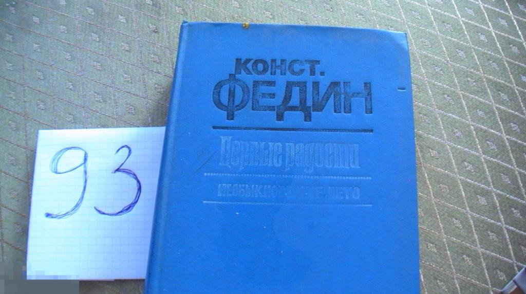 книга Федин Первые радости Необыкновенное лето 1985