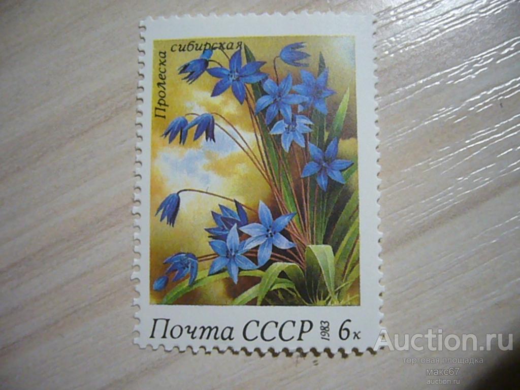 Почтовая марка СССР "Пролеска сибирская".  1983 г.