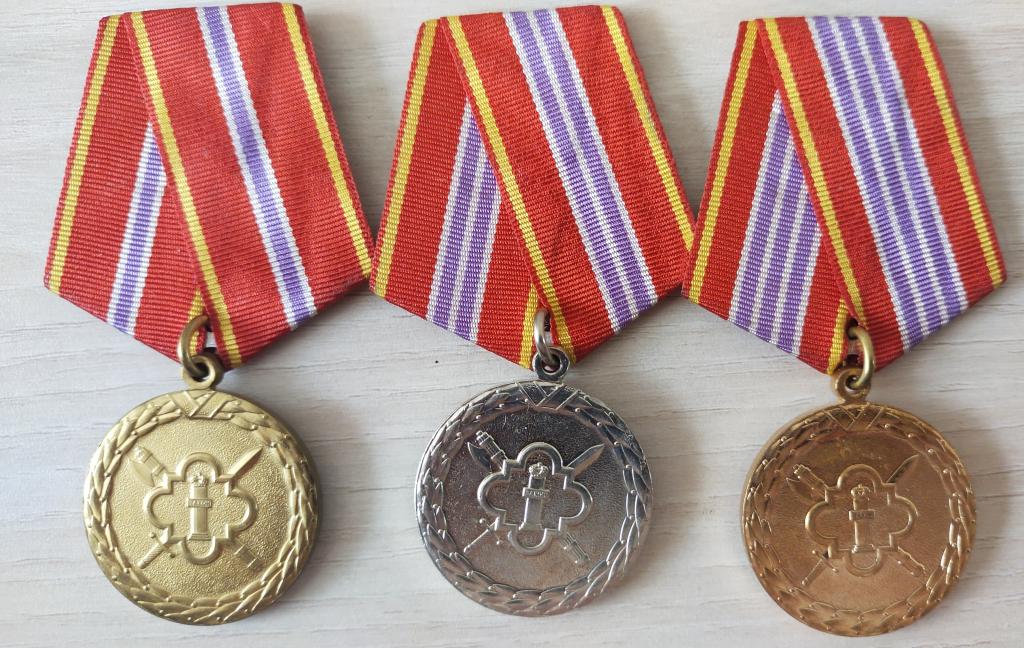 Медали  За отличие в службе ФСИН 3-х степеней.