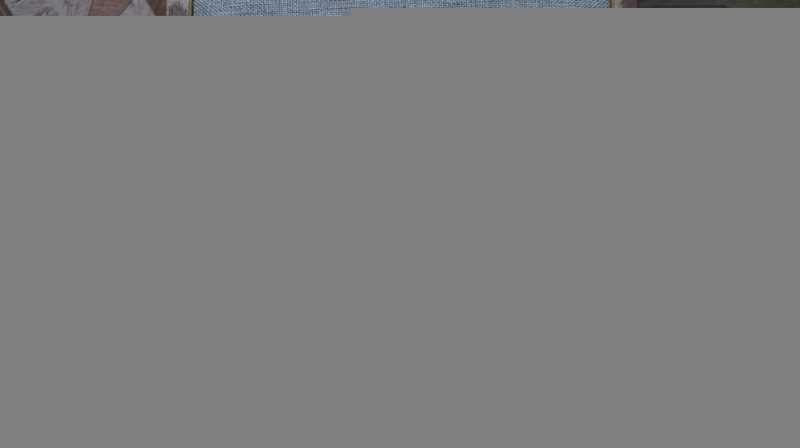 #1684427 Хомбург Корнелия Сокровища Ван Гога Перевод с английского В.Максимовой