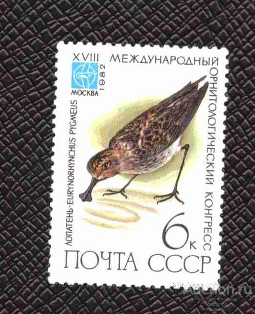 СССР  чистая    1982  год   фауна  разновидность  №  3834