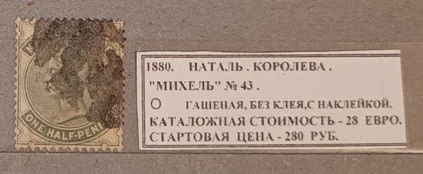 1880. Наталь. Королева. 130924Е2