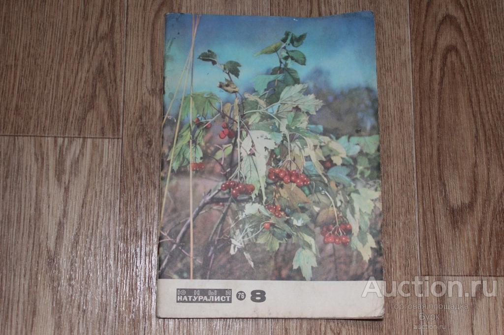 журнал СССР Юный натуралист 1976 г. №8