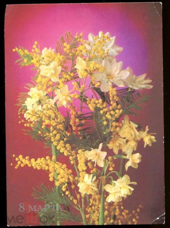 8 Марта - Костенко Г / 1985 год (151)