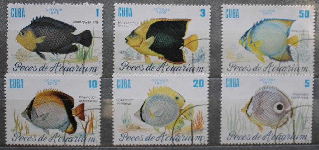 Куба. 1985 г. Рыбы аквариума Парка Ленина в Гаване. Полная серия. СТО