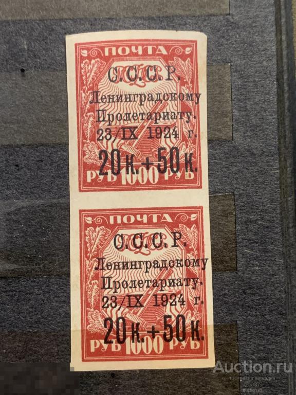 1924. Пострадавшему от наводнения Ленинграду. МЕЛОВАЯ БУМАГА. ПАРА  Сол.: 211Б **