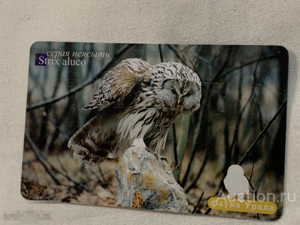 Уралтелеком. Фауна Урала. Серая неясыть. 200 ед.