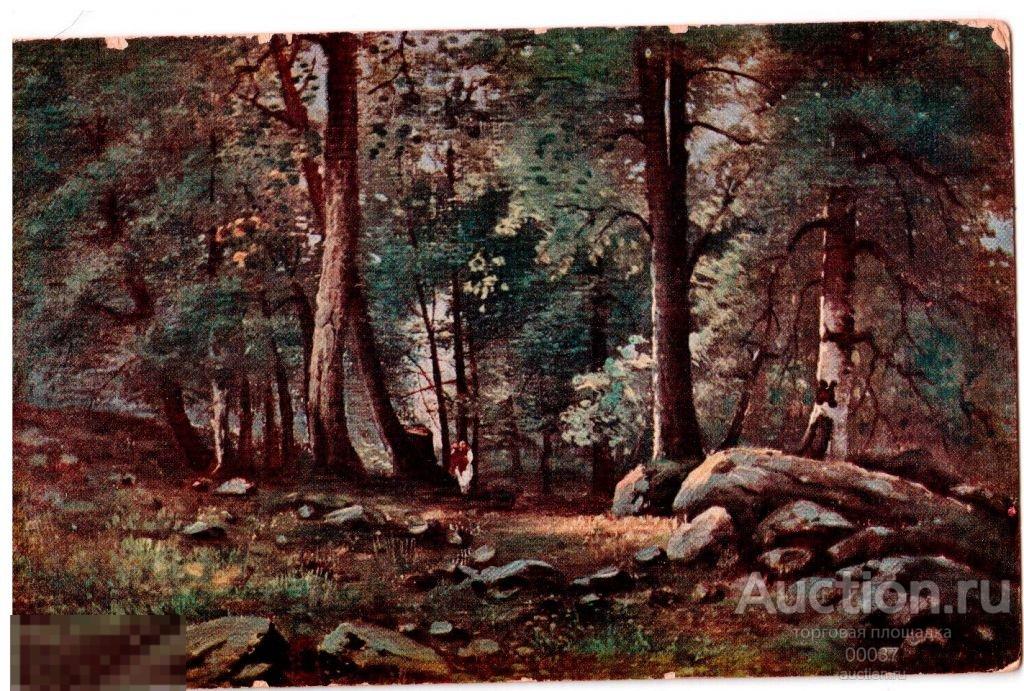 Шишкин. Этюд леса с натуры. живопись Гранберг 475