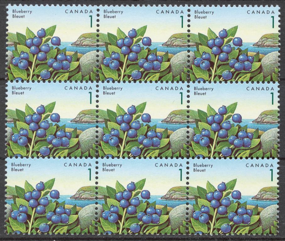 Канада 1992 Mi# 1307** СТАНДАРТ, ЧЕРНИКА