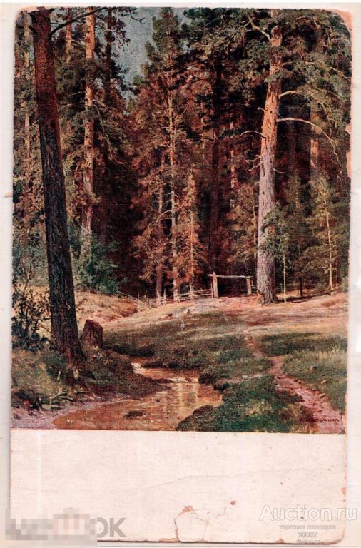 Шишкин. Лес. живопись Любань Любанское общество  465