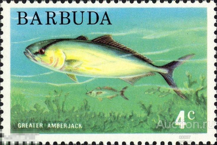 1974. Барбуда. рыба фауна. Большой Амберджек . Mi.: 189 **