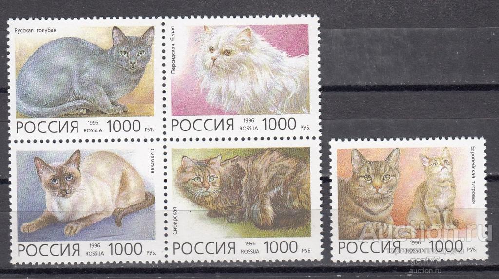 РОССИЯ  1996  Домашние кошки Серия  Сост. ** MNH
