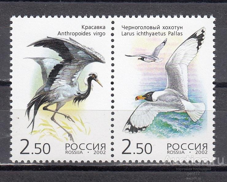 РОССИЯ  2002  Фауна Редкие птицы Сцепка   Сост. ** MNH