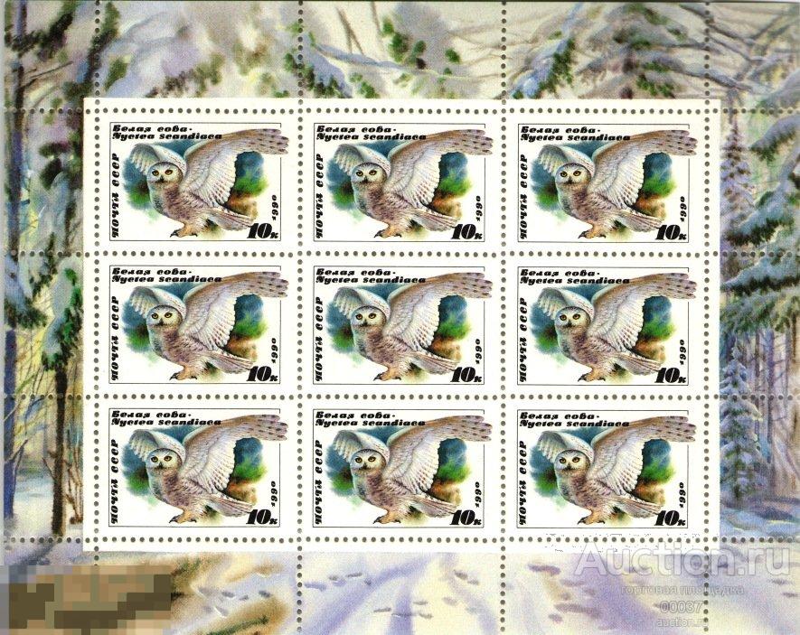 1990. 6119. Совы. Белая сова. Малый лист.