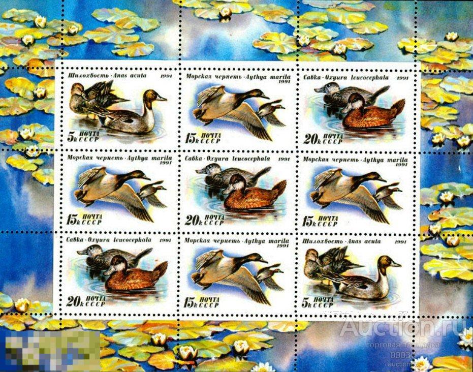 1991. 6268-6270. Утки. Малый лист.