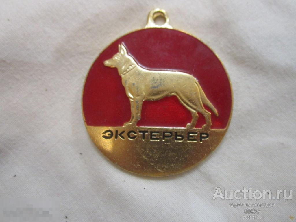 Собаководство. Экстерьер. СОБАКА