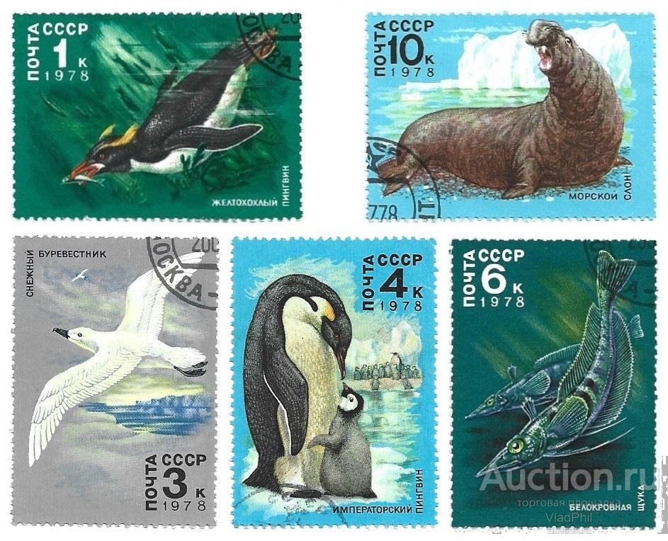 1978 СССР 4846-50 (Z 4792-96) Фауна Антарктиды. Гаш.