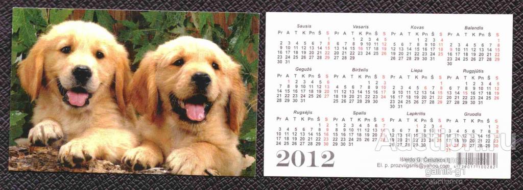календарик  2012  год   собака     №  7531
