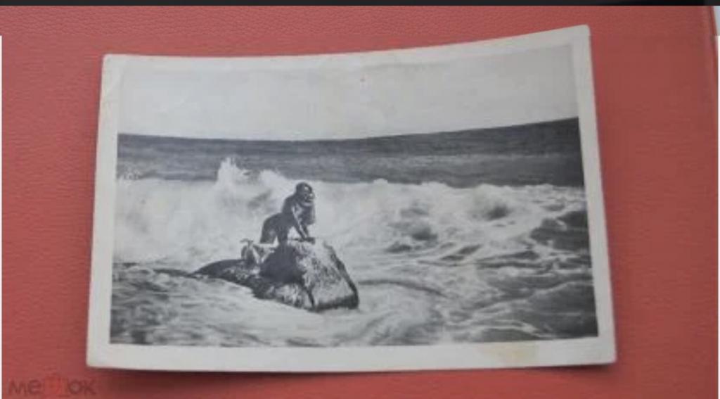 Открытка СССР - Крым - Мисхор - русалка - 1956