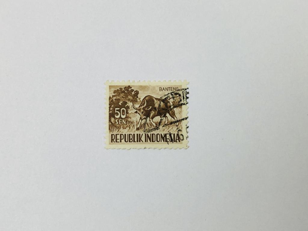 Фауна. Бантенг. Фауна. Индонезия. 1956. Михель: ID 180. Гашен