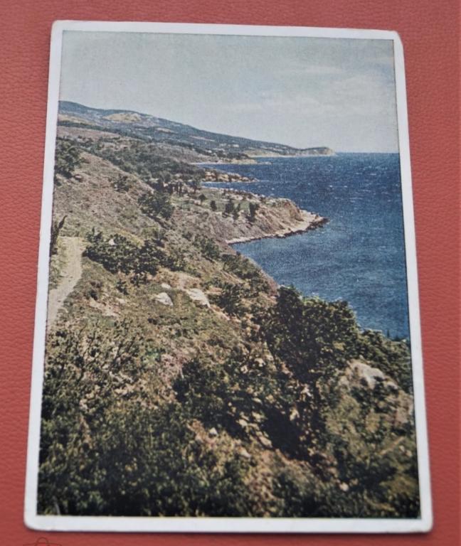 Открытка СССР - Крым - Южный берег - чистая - 1949
