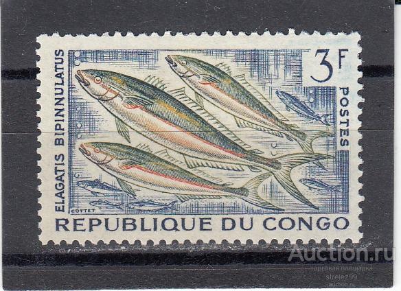 CONGO  КОНГО   Фауна Рыбы   № 16  1961  Сост**  MNH