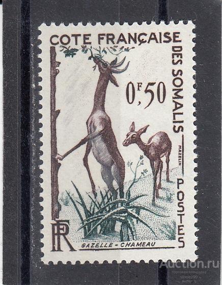 SOMALIS  ФРАНЦУЗСКОЕ СОМАЛИ  Фауна Антилопа № 316 1958  Сост** MNH