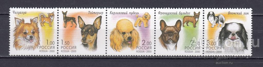 РОССИЯ  2000  Декоративные собаки Сери  Сост**   MNH