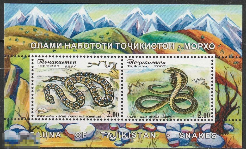 Таджикистан Змеи блок** 2007г.