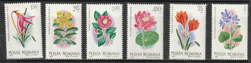 Румыния Флора Цветы серия ** 1980г.