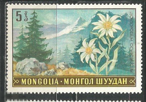 Монголия Флора Монгольская природа** 1969г.