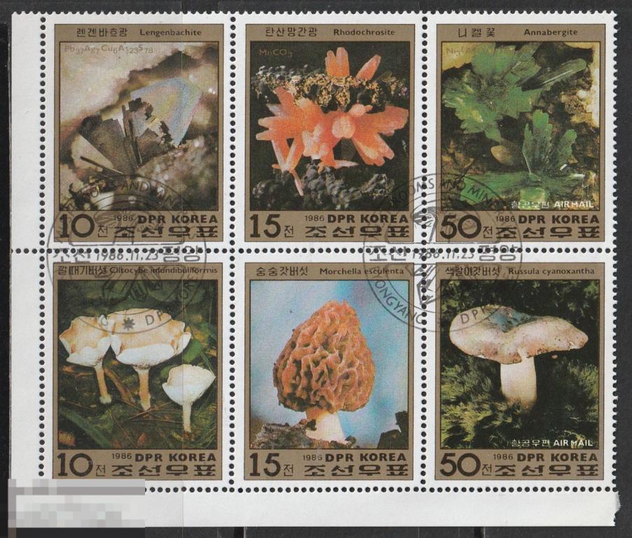 Корея Грибы сцепка 1986г.