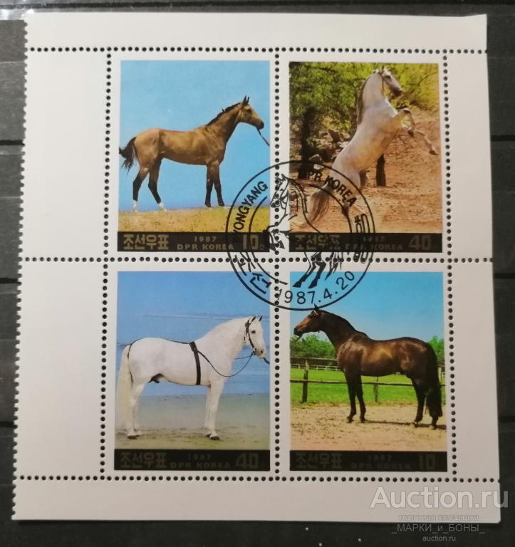 1987г. КНДР. Северная Корея. ЛОШАДИ (квартблок). Гашение (8-28)