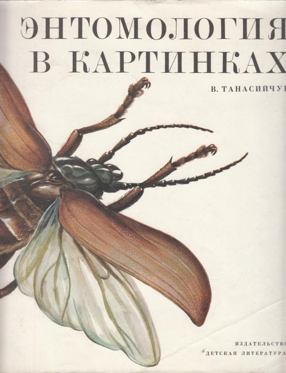 1980 В. Танасийчук "Энтомология в картинках" Книжка - картинка Для детей дошкольного возраста