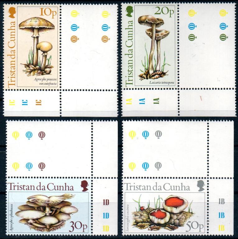 Тристан да Кунья 1984 грибы, MNH