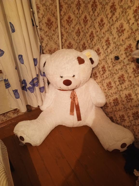 Большой плюшевый Мишка