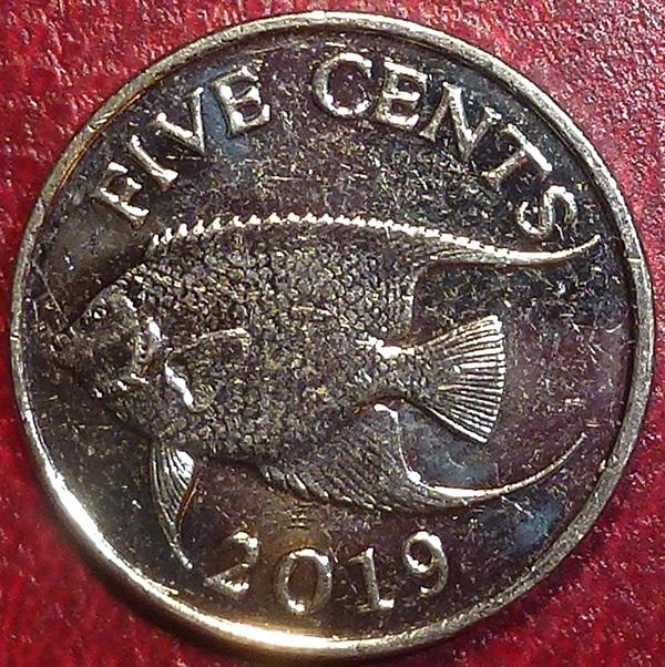 Бермуды 5 центов 2019 года.