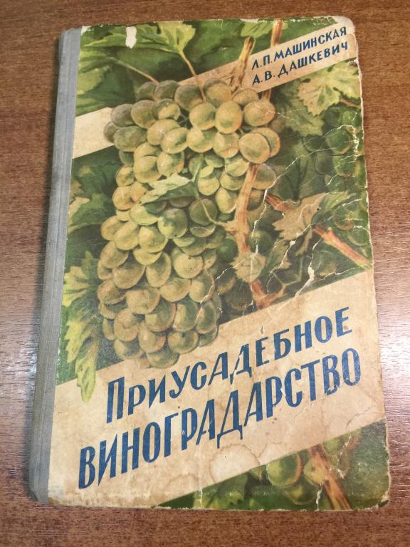 1960 г. Приусадебное виноградарство. Виноградарство. Виноград. Разведение винограда. Сорта Винограда